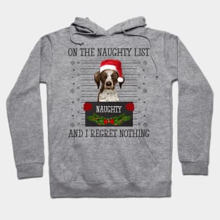 On The Naughty List, And I Regret Nothing Hoodie